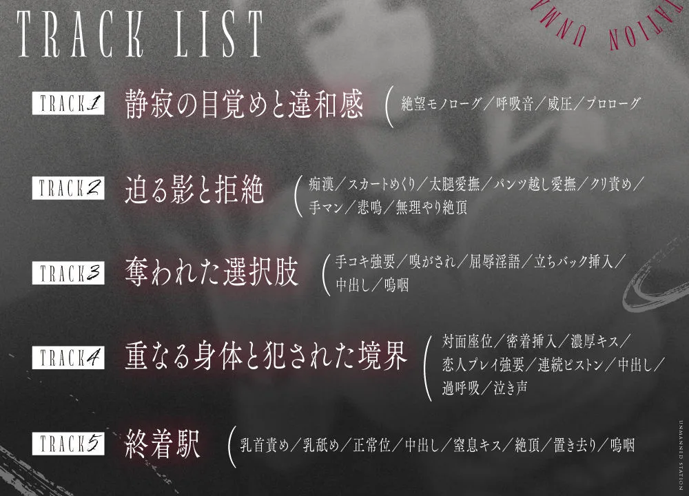 【無人駅ASMR】痴●×中出しレ●プ〜おとなしい巨乳少女を誰もいない電車内で凌●〜 画像4